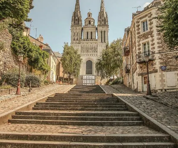 Bed & Breakfast La Pause Angevine Angers